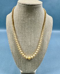 Graduated Pearls With Silver Tone Clasp