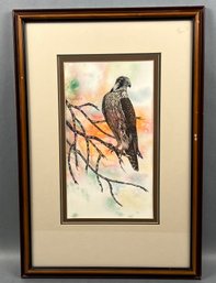 Original Susan LeBow Framed And Signed Watercolor Of A Hawk.