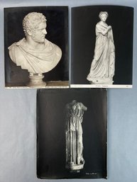 Vintage Photos Of Roman Marble Statues