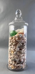 Large Lidded Jar With Huge Variety Of Seashells