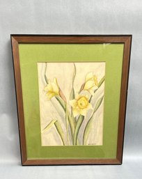 Vintage Watercolor Painting  Of Yellow Daffodils By Alene Holden