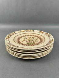 7 Small Bread Plates Spode Buttercup