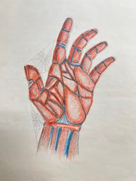 Sketch Of Hand And Spider Webs