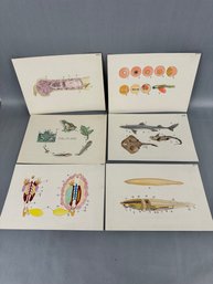 Vintage School Life Cycle Charts