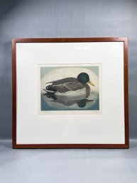 Mallard Framed Print 117/150, Artist Signed Jasko