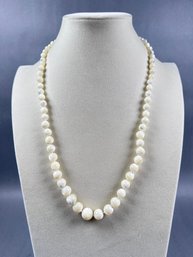 Graduated Natural Shell Beaded Necklace