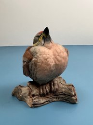 Boehm Fledgling Red Poll # 495x. *Local Pickup Only*