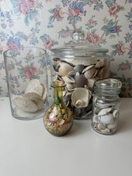 4 Jars Of Shells