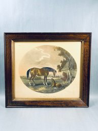 Framed Antique Print Titled 'The Foal With Its Dam,' Likely From A Series By Artist Thomas Gooch