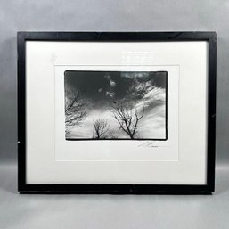 Silver Gelatin Print Alone By Leigh Anne Freeman