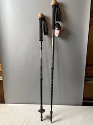 REI Hiker Antishock Staff Stick
