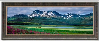 Photograph By Thomas Mangelsen 'glacier Travelers Of Brown  Bears