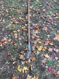 Tree Trimmer