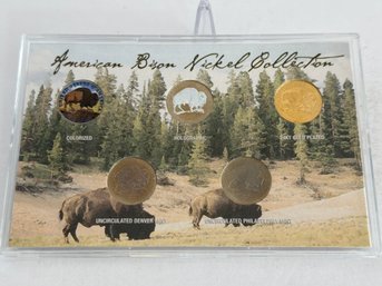 American Bison Nickel Collection