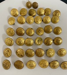 Lot US Eagle Vintage Waterbury Button Co Conn. Military. Brass Valley Forge Military Academy