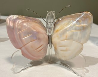 Shell Butterfly