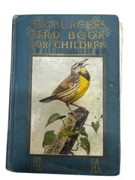 Vintage Bird Book For Children - Copyright 1922