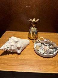 Sea Shells And Misc Decor