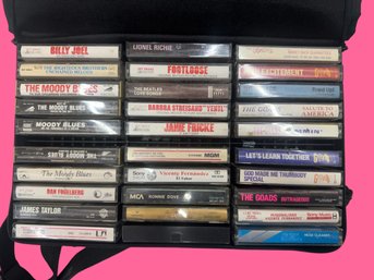 30 Vintage Cassette Tapes & Case