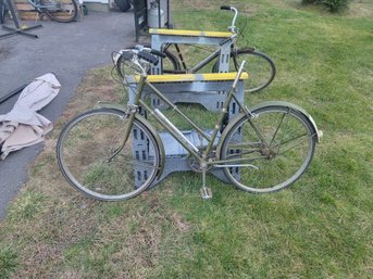 Vintage Women's Bicycle, Raleigh Sports Speedometer Bike
