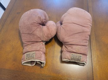 Everlast Vintage Boxing Gloves
