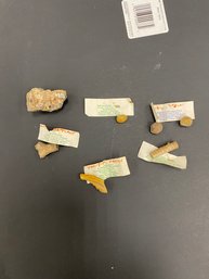 Small Fossils
