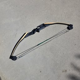 Compound Bow With Bag