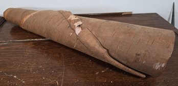 Home Made Rolled Birch Bark Moose Call