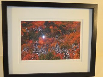 Jack Kennealy 'Winter Tapestry' A Maine Giclee Fine Art Print