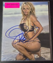 Pam Anderson Autographed 8' X 10' Colored Photo With COA In Top Loader Protected Cover