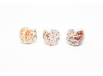 Tiger Cowrie Shell Napkin Rings, Set Of 3