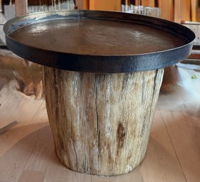 Petrified Stump  Tray Table