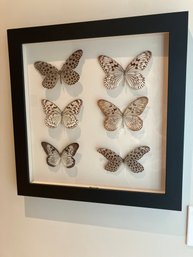 Shadow Box With Brown Butterflies