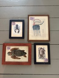 Collection Of Sea Life Framed Pictures