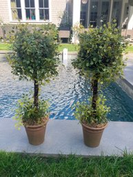 Pair Of Faux Topiaries