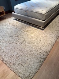 8 X 10 Crate And Barrel Shag Rug