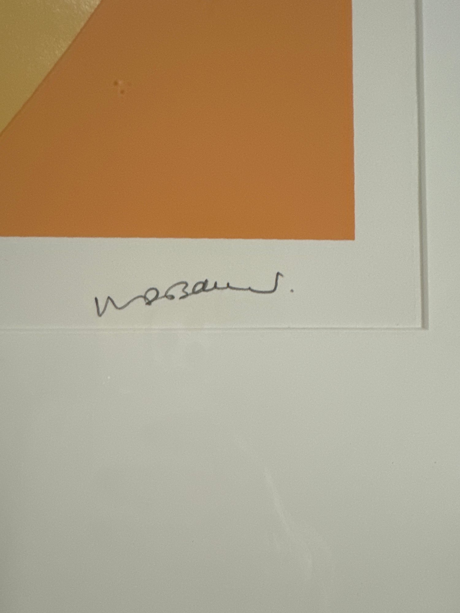 "The Till 27" By Walter Darby Bannard Silkscreen 5602