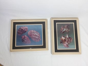 Pair Of Ocean Themed Framed Wall Art