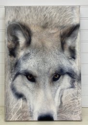 Wolf Art Print On Canvas