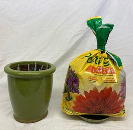 Succulent And Plant Food