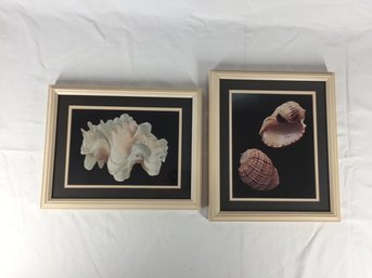 Framed Ocean Themed Wall Decor Pieces