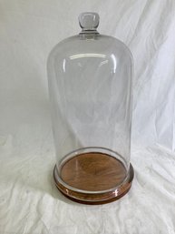 Tall Glass Cloche Display