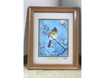 Original Airbrush Painting Of A Northern Cardinal Female Feeding On Rose Hips