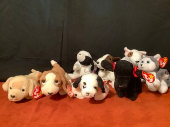 BEANIE BABY PUPPY DOGS