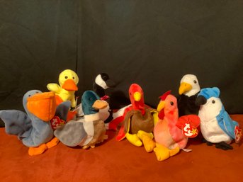 BEANIE BABY DUCKS, EAGLE, BLUE JAY & MORE