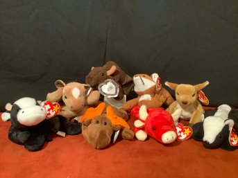 Adorable Beanie Babies