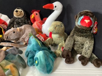 Group Of Assorted Beanie Babies