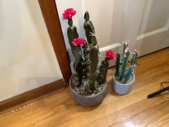 Artificial Cactus Plants & More-They Look Real