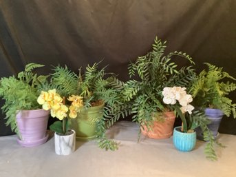 Ferns & Flowers-  6 Faux Plants InCeramic Planters