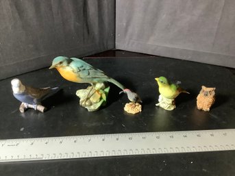 Collection Of Birds